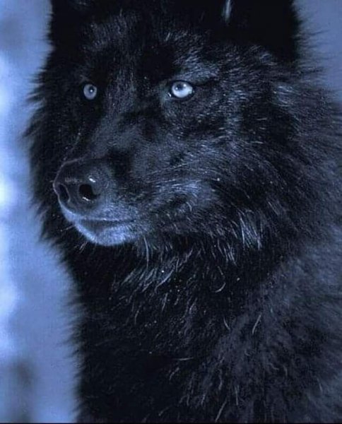 ca38505b3c999fe89a32dc4a57ff3