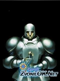 secraft young paladin