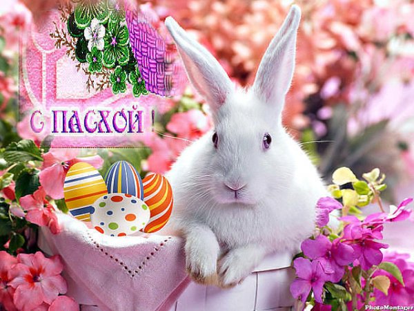 с пасхой