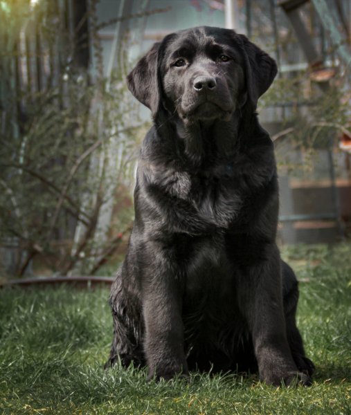 12K03OKNHYYGCDRDXFFLLG