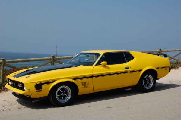 ford-mustang-mach-1-cars-880968-3008x200