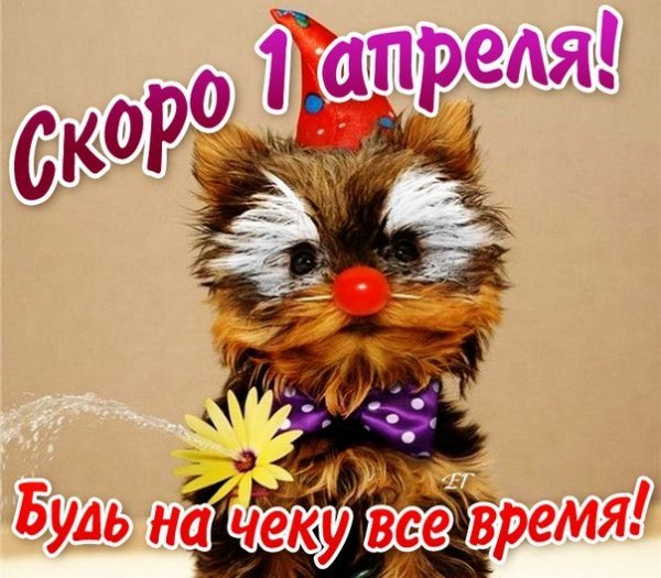 С 1 Апреля (3)