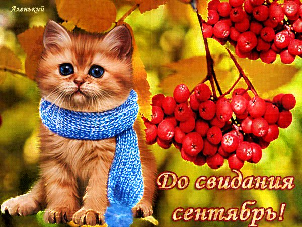 До Свидания Сентябрь.!
