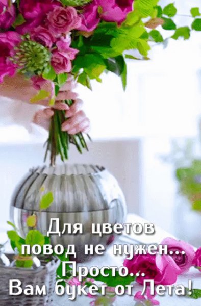 IMG 20230728 151154