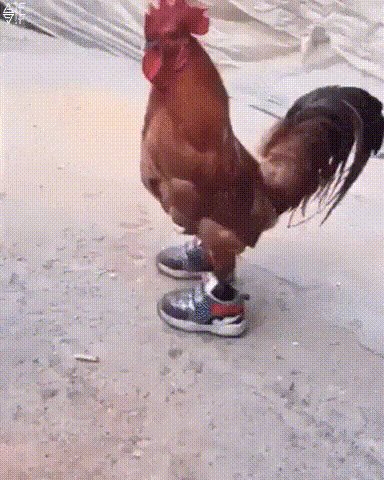 f4ae0dc23a1f4826b3dc0ce29ef2c1d0aa352140935d5d0896e26784619a0