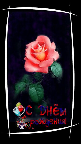 СДРРозаРамка