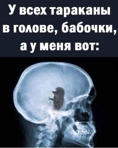 FB IMG 1708306554368