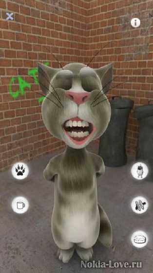 Talking Tom Cat