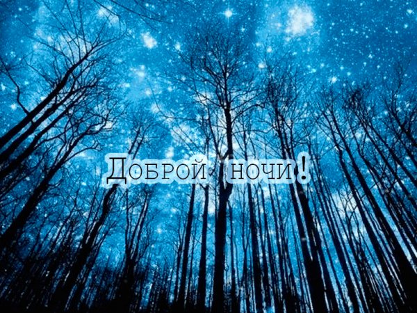 Доброй ночи