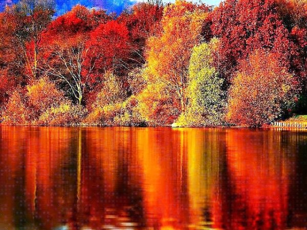 Золотая осень (3)