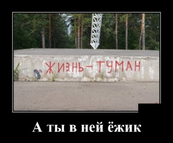 Жизнь туман...