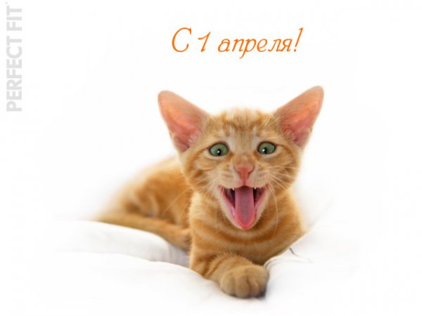 С 1 апреля