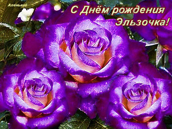 анимированная открытка c днём рождения