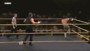 DivingMoonsault
