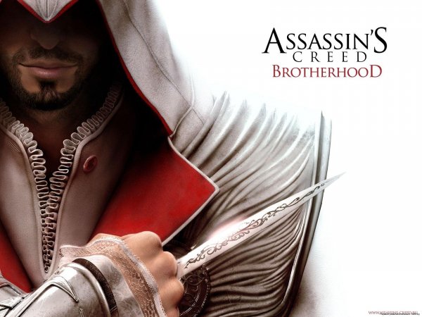 Assassins Creed Brotherhood SAVE-spaces