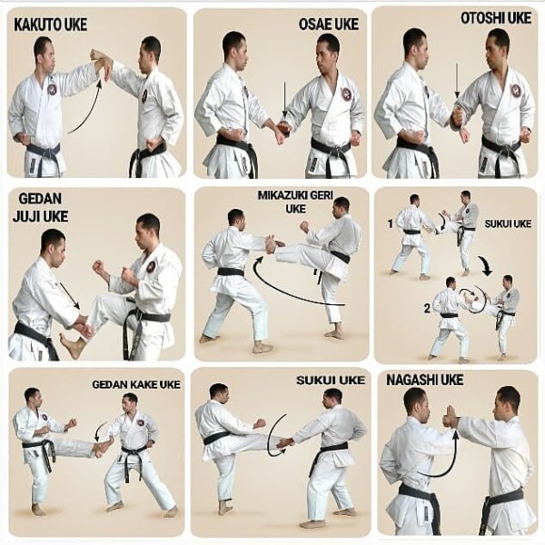 karate arte