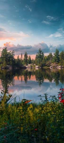 file_100963056