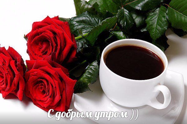 ZyqTtwEPLYA