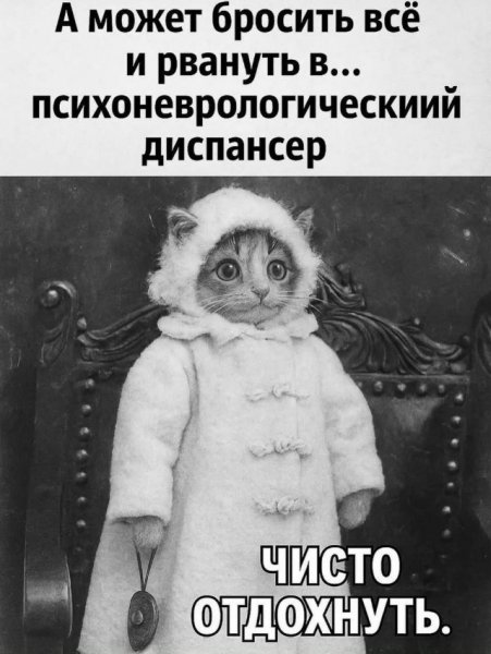 file_102605354