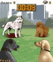 Mobidogs-240x320