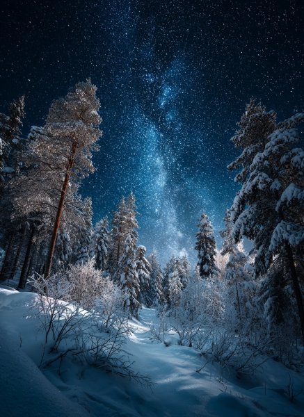 file_101765629