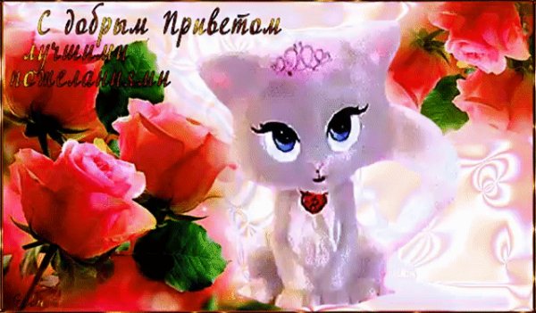 С добрым приветом и наилучшими пожеланиями!