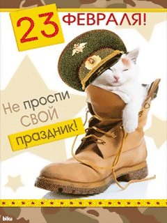 file_27804243
