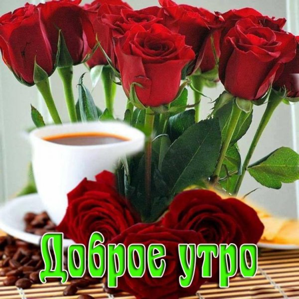 n9ZIEn2UhAU