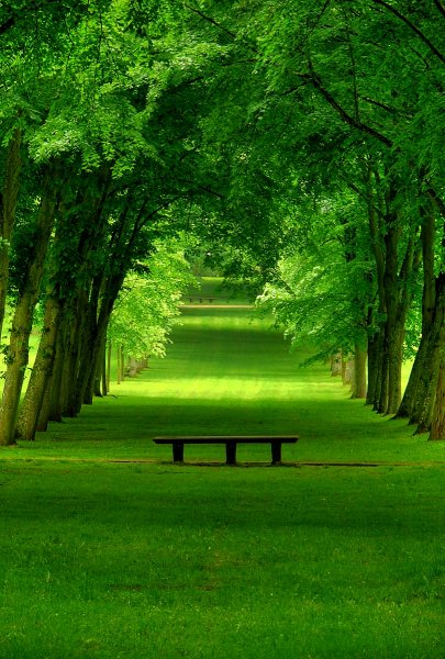 tumblr mubixmZtfE1qjvnc4o1 1280