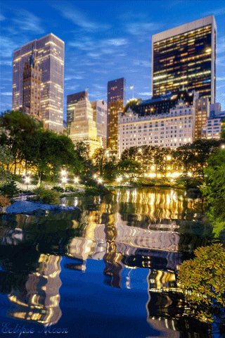 Central-Park-New-York-City