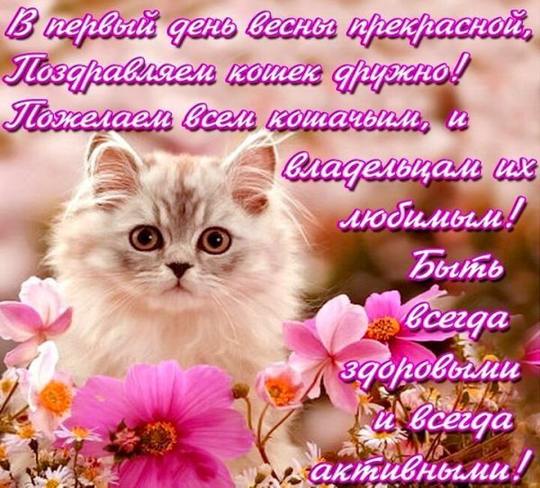 file_92901512