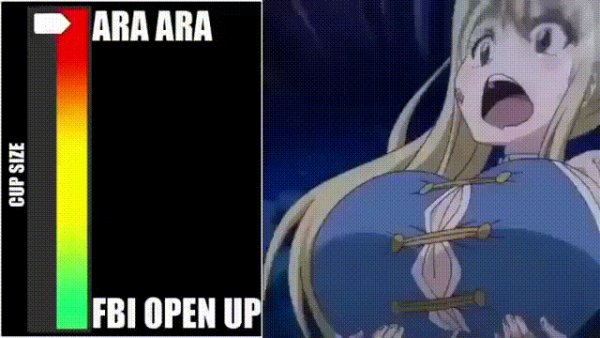 Anime-фэндомы-Ero-anime-5569932