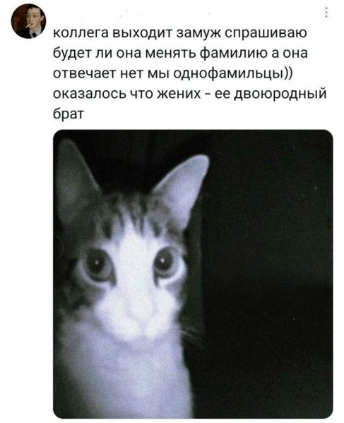 file_103347051