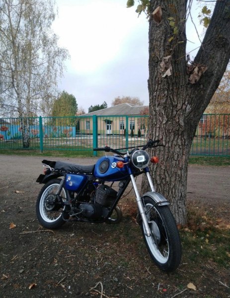 file_99505585