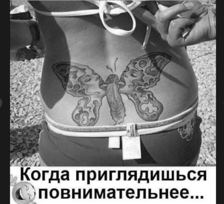 ULQmoMiB4AK29ttPRcN0GuloGl4LGskG1F5IbWgoDbgNckx vLr0-tEzUFlr