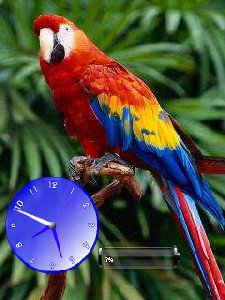 parrot ae2cprp3