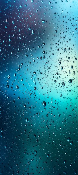 adapted 1080x2408 1771922868