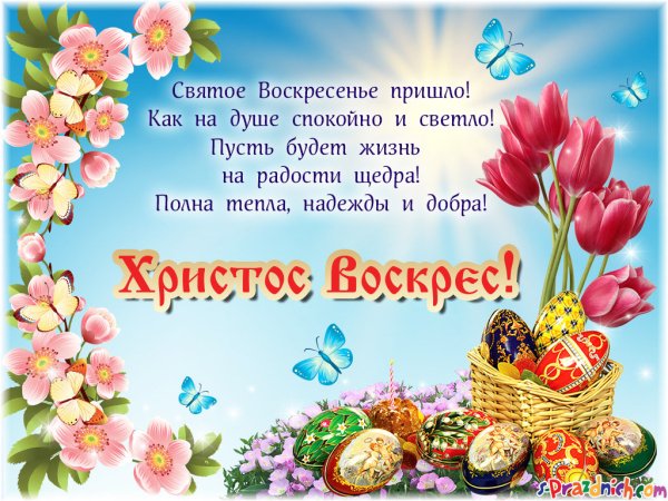 file_84185693