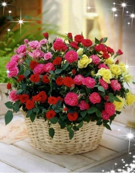 IMG 20190630 051028