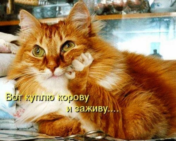 file_100753360