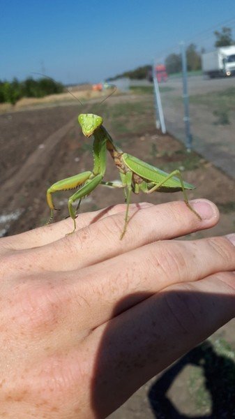 file_78739320