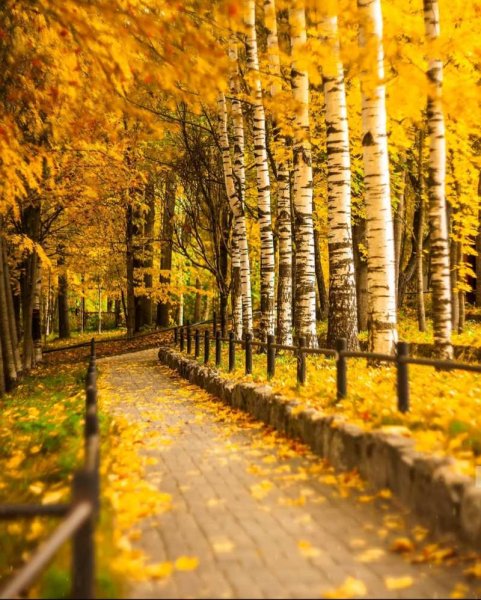 Осень