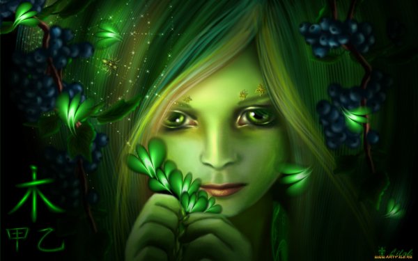 x900 497007 [www.ArtFile.ru]