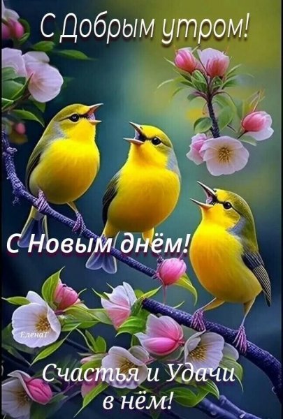 file_93204410