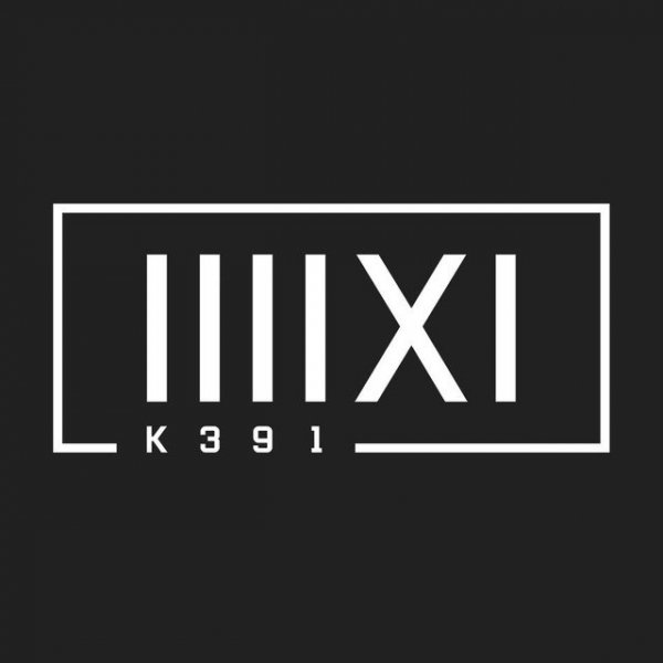K-391 - Digital Strangers