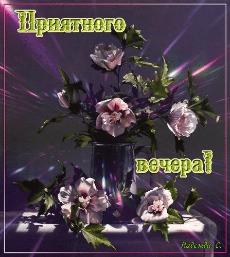 приятного вечера 001005