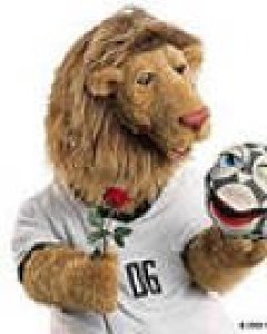 World cup of Germany