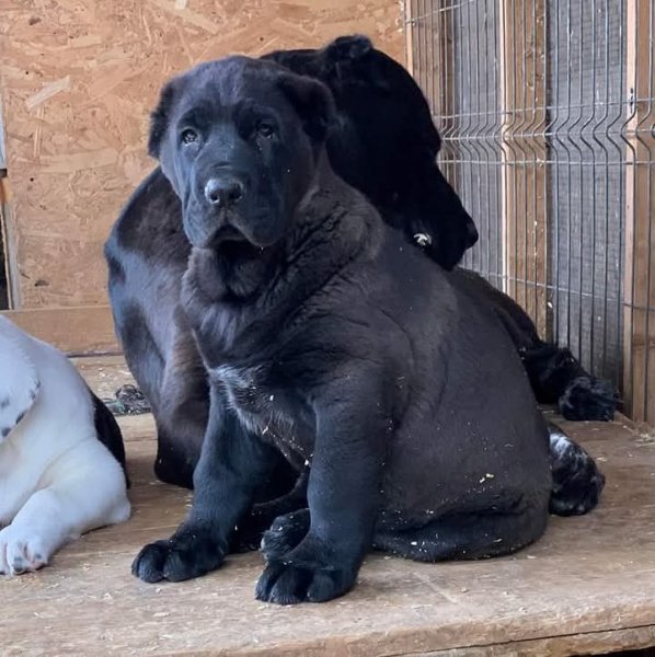 FB IMG 1756272359628