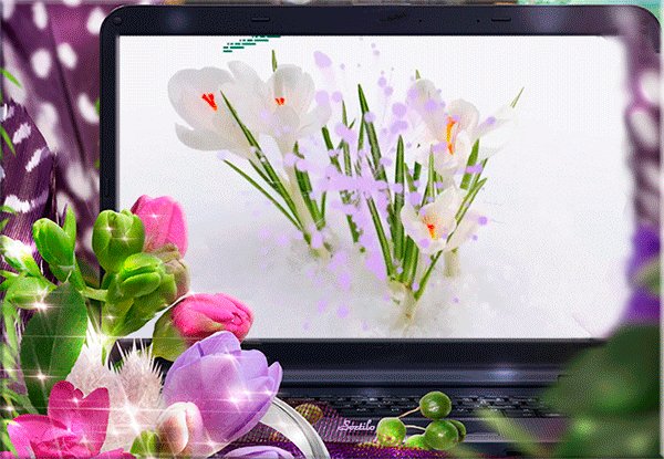 file_72755055