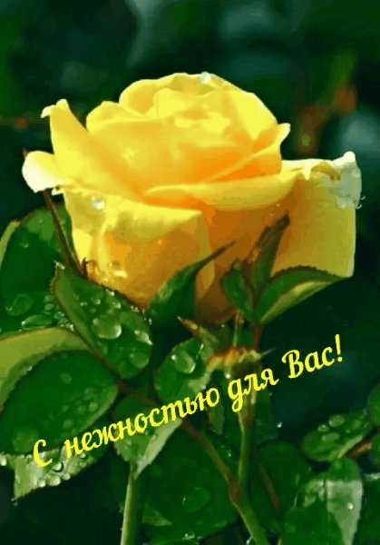 IMG 20210629 105847